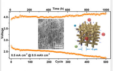 ACS Nano：用于高性能Li−O2电池的正交通道、低弯曲度碳纳米管平台