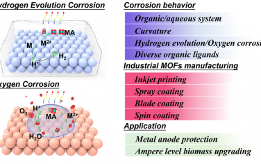 JACS：构筑大面积MOF膜实现安培级电催化生物质转化