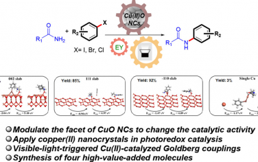 ACS Catal：可见光催化-CuO协同Goldberg偶联