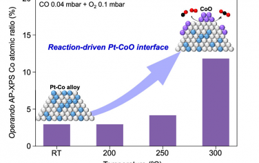 ACS Catal：Pt-Co纳米粒子原位形成Pt-CoO界面催化活性位点