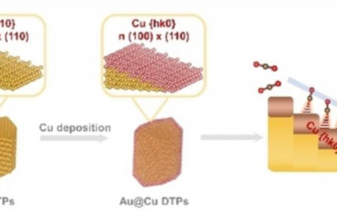Angew: CO2在Au（310）@Cu高折射率面上的电还原