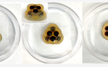 JACS：通过扩散粘附凝胶组装制造形状和图案的超分子多重凝胶器物体