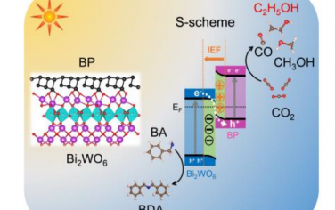 Angew：BP-Bi2WO6异质结光催化CO2制乙醇