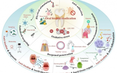 Advanced Materials综述：抗口腔生物膜感染生物材料