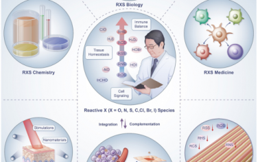 Chem. Soc. Rev：活性X(其中X = O, N, S, C, Cl, Br和I)物种纳米医学
