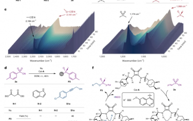 Nature Chemistry：砜的有机催化不对称脱氧制备手性亚磺酰基化合物