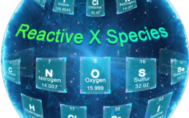 Angew综述：利用纳米药物化学调节活性X物质以用于多种疾病治疗