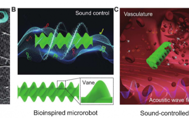 Science Advances：声控螺旋微型机器人