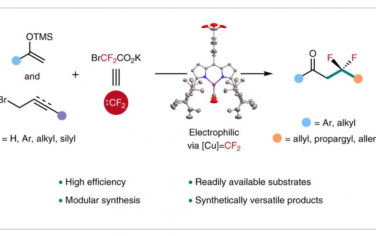 Nature Chemistry：铜催化的二氟卡宾转移实现模块化合成