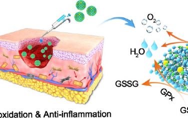ACS Nano：表面纳米层非晶化硒基ROS生物催化剂用于促进糖尿病炎症创面超快愈合