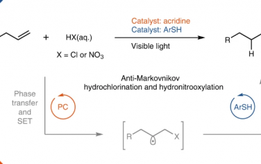 Nature Catalysis：可见光催化烯烃反马氏规则加成盐酸/硝酸