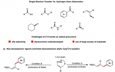 Nature Commun：立体选择性可调控烯丙基C(sp3)-H芳基化