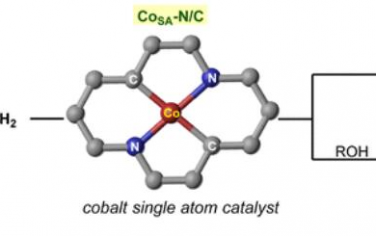 JACS: 用于烯烃衍生合成含氮化合物的原子分散Co-N/C催化剂