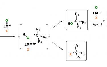 ACS Catal综述：C(sp3)-H立体选择性氧化