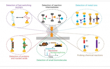 Nature Chemistry：单分子连接作为化学和生物化学分析工具的研究进展
