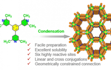 JACS：具有杂多拓扑结构的乙撑键共价有机骨架的六顶点定向方法