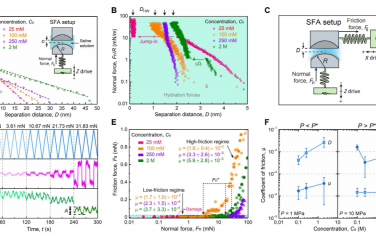 Science Advances：水化层结构通过三价 La3+ 电解质调节超润滑