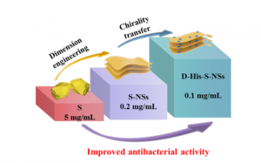 ACS Nano：用于双重选择性抑制革兰氏阳性细菌的手性硫纳米片