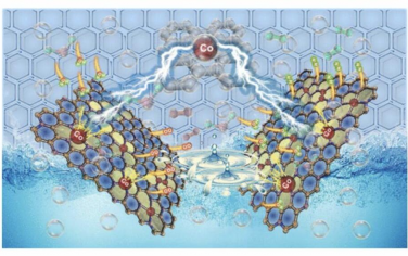 JACS: 用于增强析氧反应的高密度钴单原子催化剂