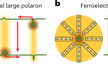 Nature Nanotechnology：软晶格卤化铅钙钛矿中光载流子诱导的持久结构极化