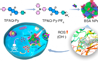 ACS Nano：AIE光敏剂-白蛋白复合物可级联促进羟基自由基的生成以用于光动力治疗