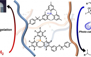JACS：光诱导生成含受阻自由基对的材料和光催化剂