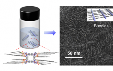 JACS：可溶性金属−有机纳米管中的自组装晶束