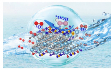 ACS Nano：一种合成选择性产生活性氧的流体单原子电极的通用策略