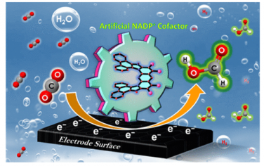 JACS：发展螺旋烯作为NADP+型负氢催化剂