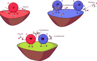 Nature Catalysis：乙醇制备丁二烯的硅酸镁催化剂的活性位点