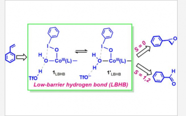 JACS: Brønsted酸通过生物激发的非血红素CoIII（PhIO）（OH）络合物促进烯烃氧化