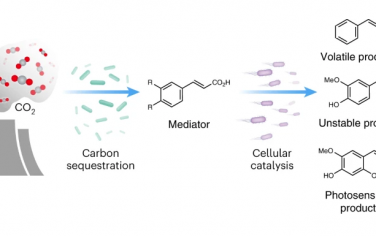 Nature Synthesis：光催化CO2生物合成挥发、不稳定、光敏分子产品