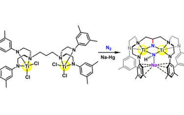 JACS：活化氮气分子插入C-H键