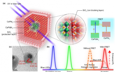 Advanced Materials：基于FRET的双组分钙钛矿纳米-复合Micro-LED显示器件