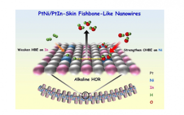 ACS Nano：PtNi/PtIn 皮鱼骨状纳米线增强碱性氢氧化催化