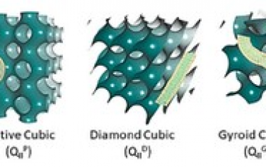 ACS Nano：胆固醇对仿生膜曲率和冠状病毒融合肽封装的影响