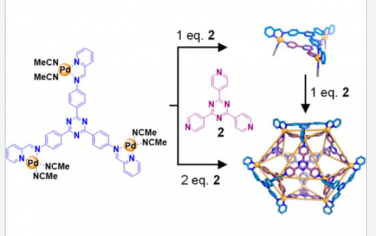 JACS: 二级支撑配体驱动异向立方八面体PdII12笼的形成