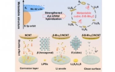 ACS Nano：亚稳态立方 Mo2C 上强化 d-p 轨道杂化用于高稳定性锂-硫电池