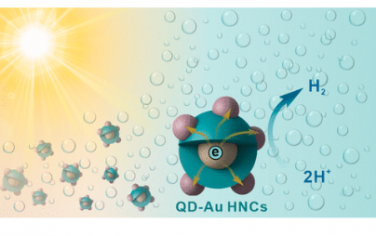 JACS：用于增强光催化制氢的 I 型 CdS/ZnS 核/壳量子点金异质结构纳米晶体