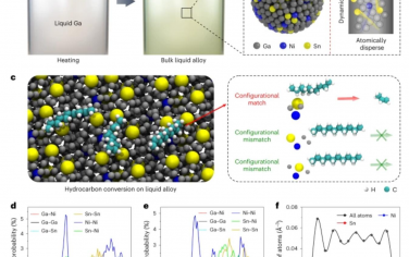 Nature Nanotechnology：选择性丙烯合成中液态金属原子的动态构型