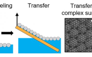 Nano Letters：自组装胶体晶体的毛细管转移