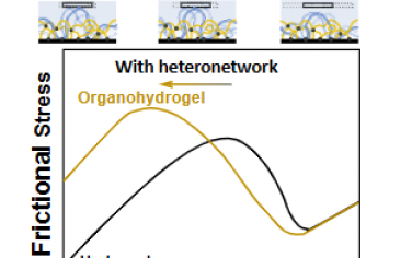 Angew：通过互穿网络限制聚合物链迁移率实现高速润滑的有机水凝胶