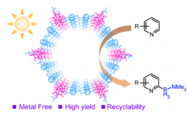 JACS：共价有机框架作为光催化无金属 C−H 硼酸化的多孔颜料