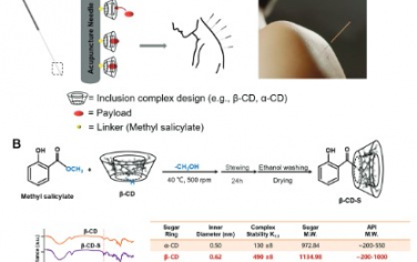 Advanced Science： 利用纳米药物针刺技术有效治疗小鼠膝骨关节炎