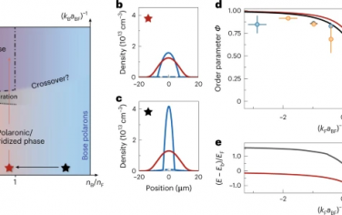 Nature Physics: 异核分子从极化子凝聚态到简并费米气体的转变