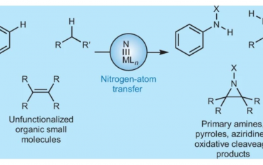 Nature Review Chemistry：氮原子转移催化的前景与挑战