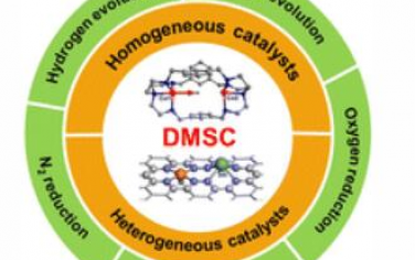 Chem. Soc. Rev: 双核金属协同催化能量转换