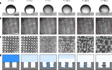 Nature Physics：超疏水表面上的冻结诱导润湿转变