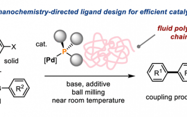 JACS：设计配体用于固相Suzuki-Miyaura交叉偶联