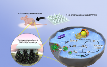 ACS Nano：通过级联类芬顿反应和NO递送增强经皮化学动力学治疗